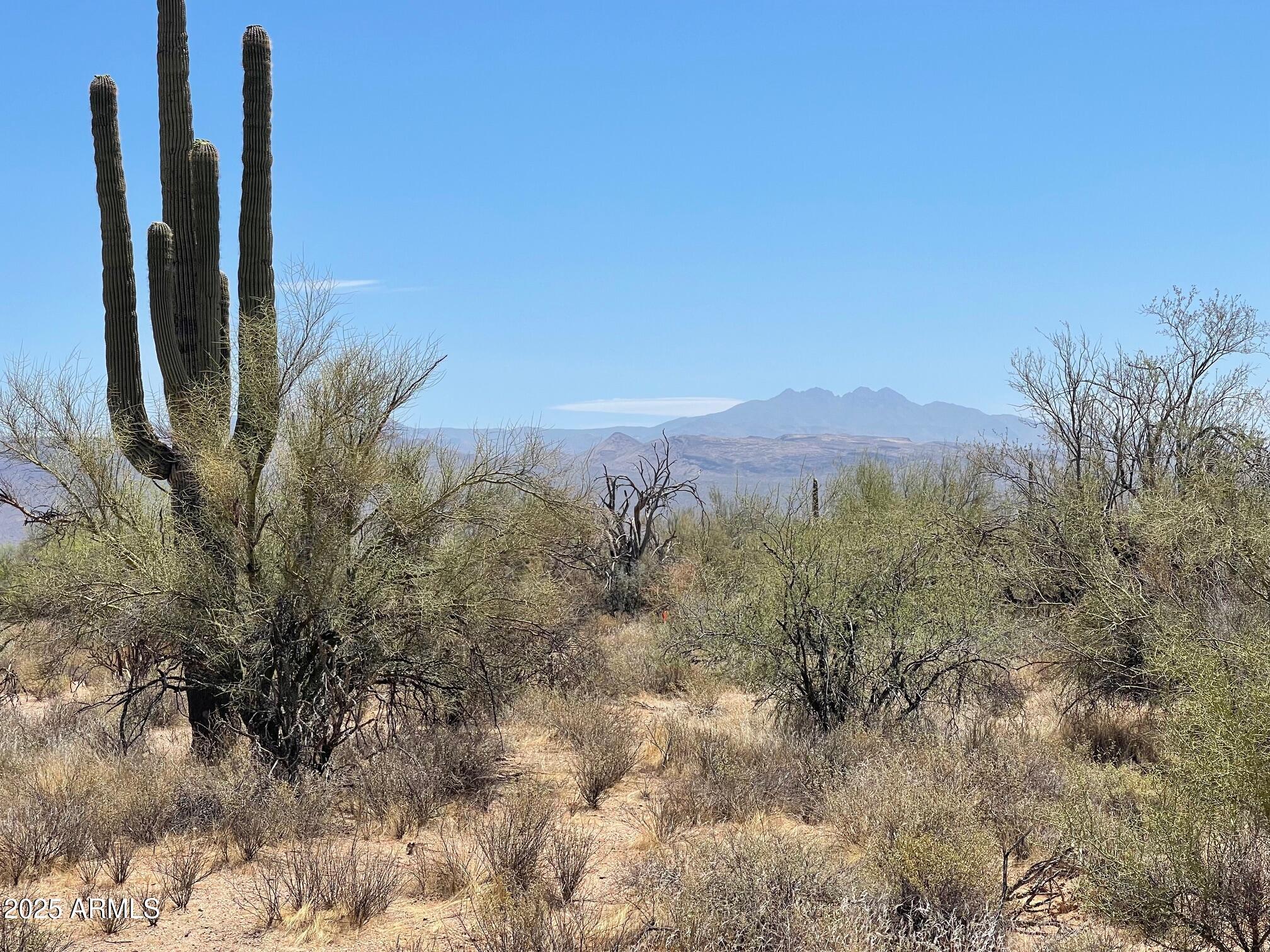 16800 North 168th Street Rio Verde, AZ 85263 - Photo 6 of 7 a view of a field