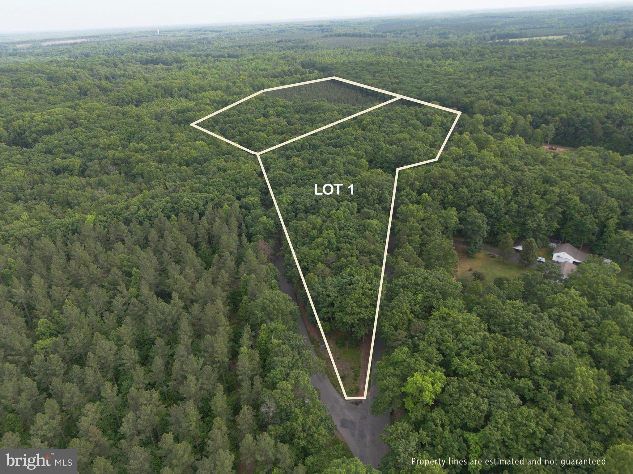 Lot 1 Roundabout Road Louisa, VA 23093 - Photo 1 of 40