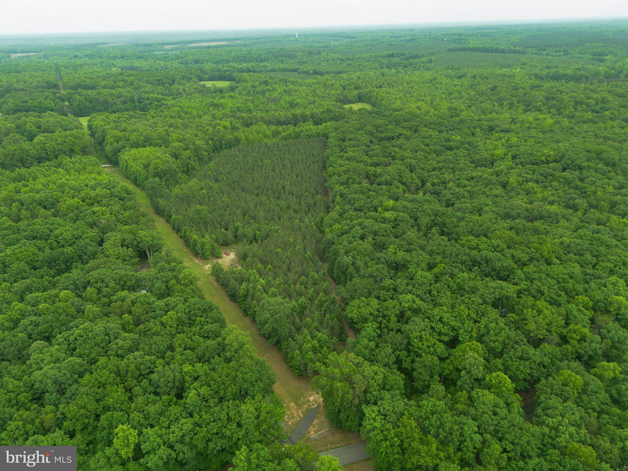 Lot 1 Roundabout Road Louisa, VA 23093 - Photo 11 of 40