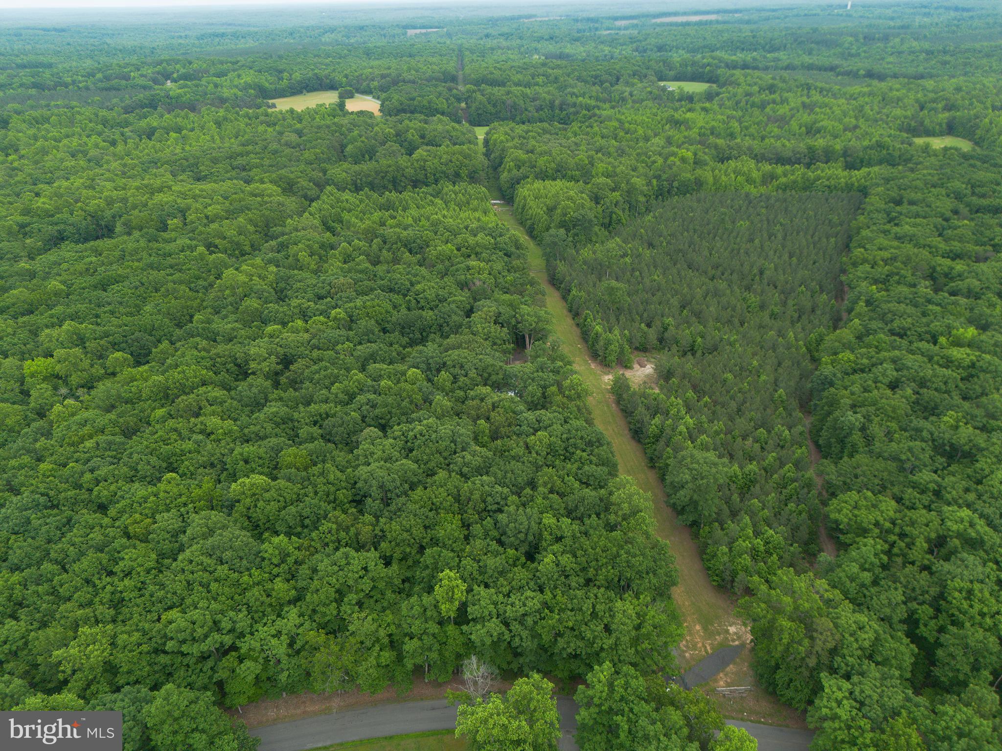 Lot 1 Roundabout Road Louisa, VA 23093 - Photo 12 of 40