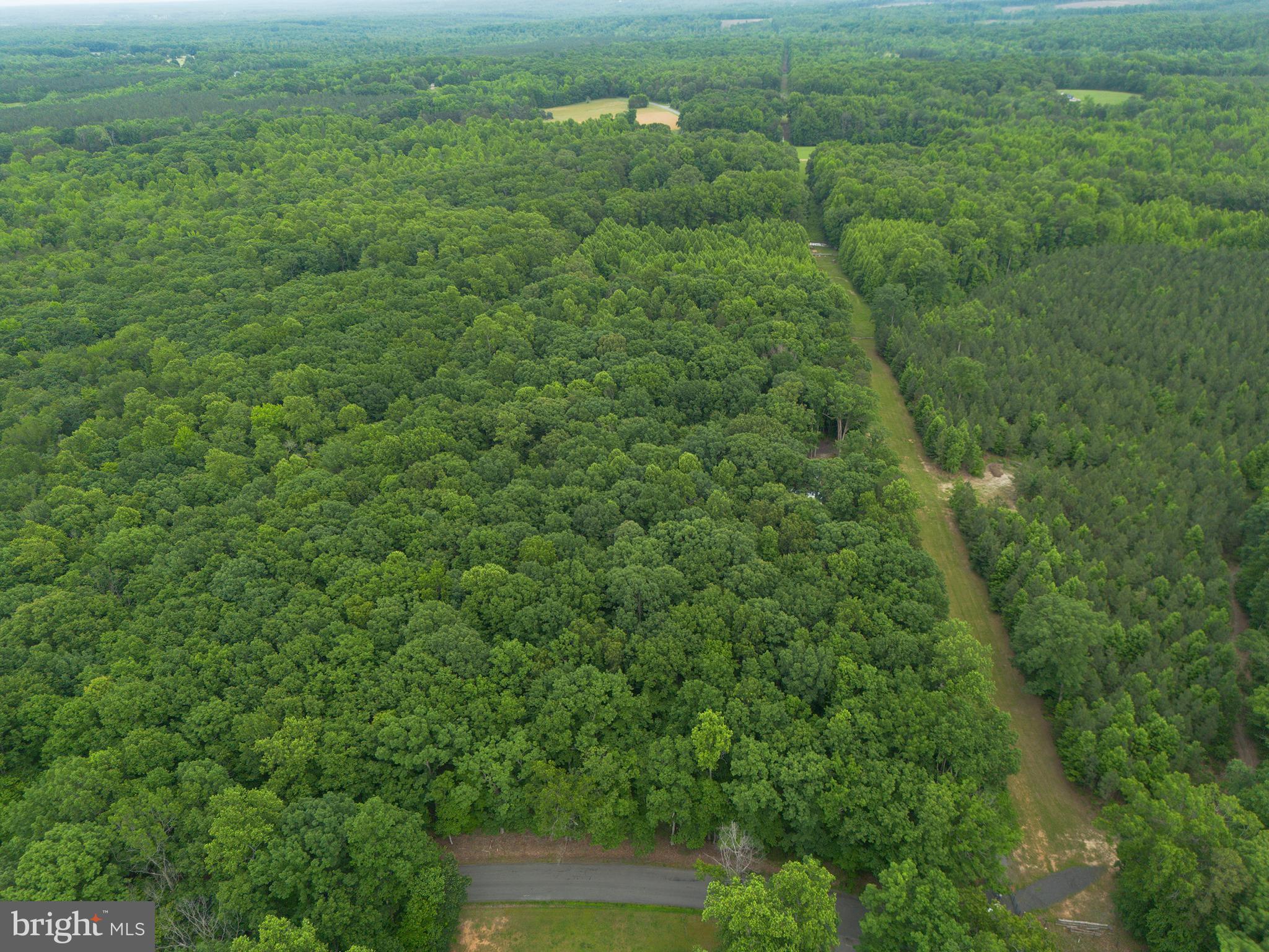 Lot 1 Roundabout Road Louisa, VA 23093 - Photo 13 of 40