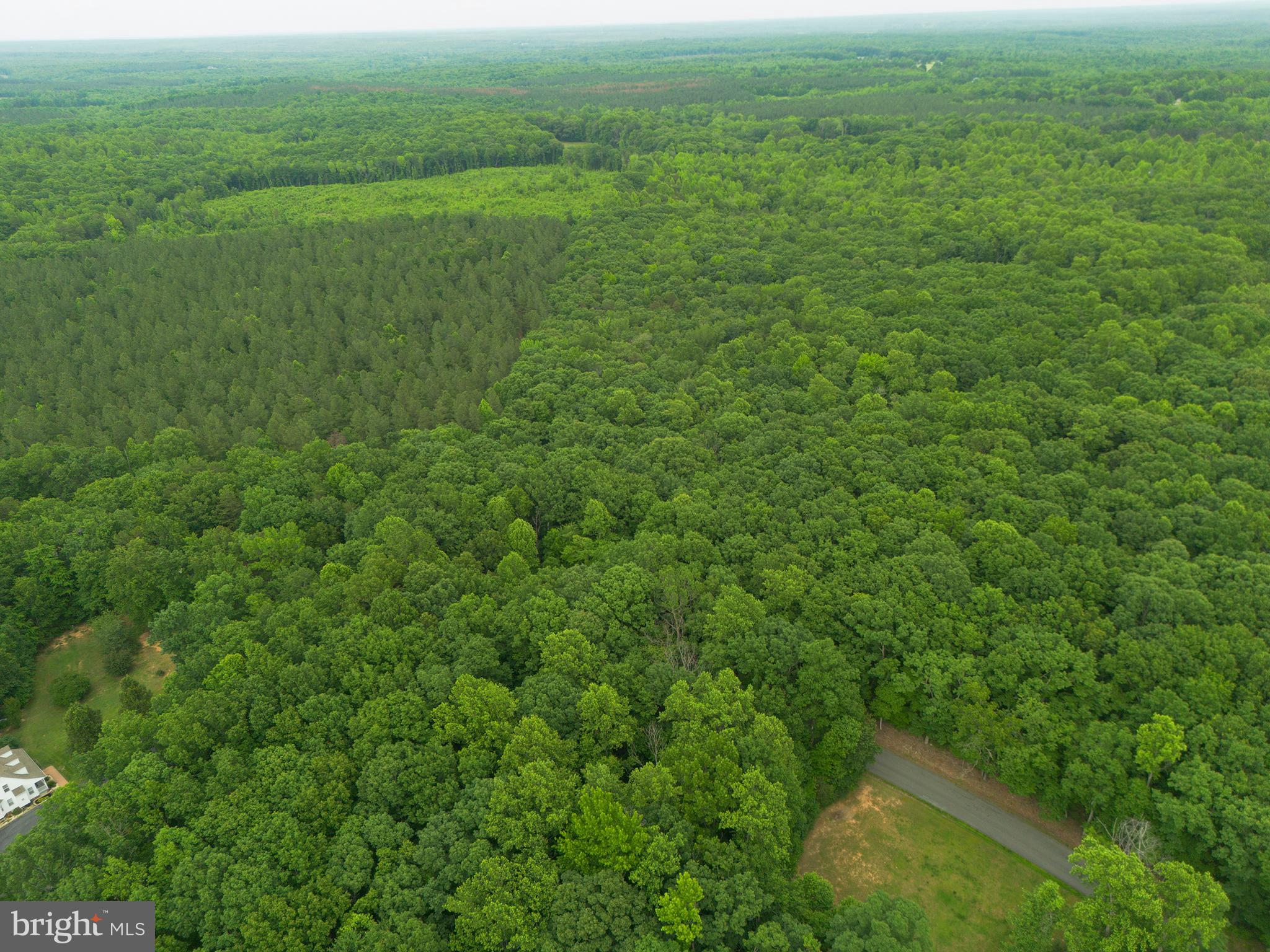 Lot 1 Roundabout Road Louisa, VA 23093 - Photo 14 of 40
