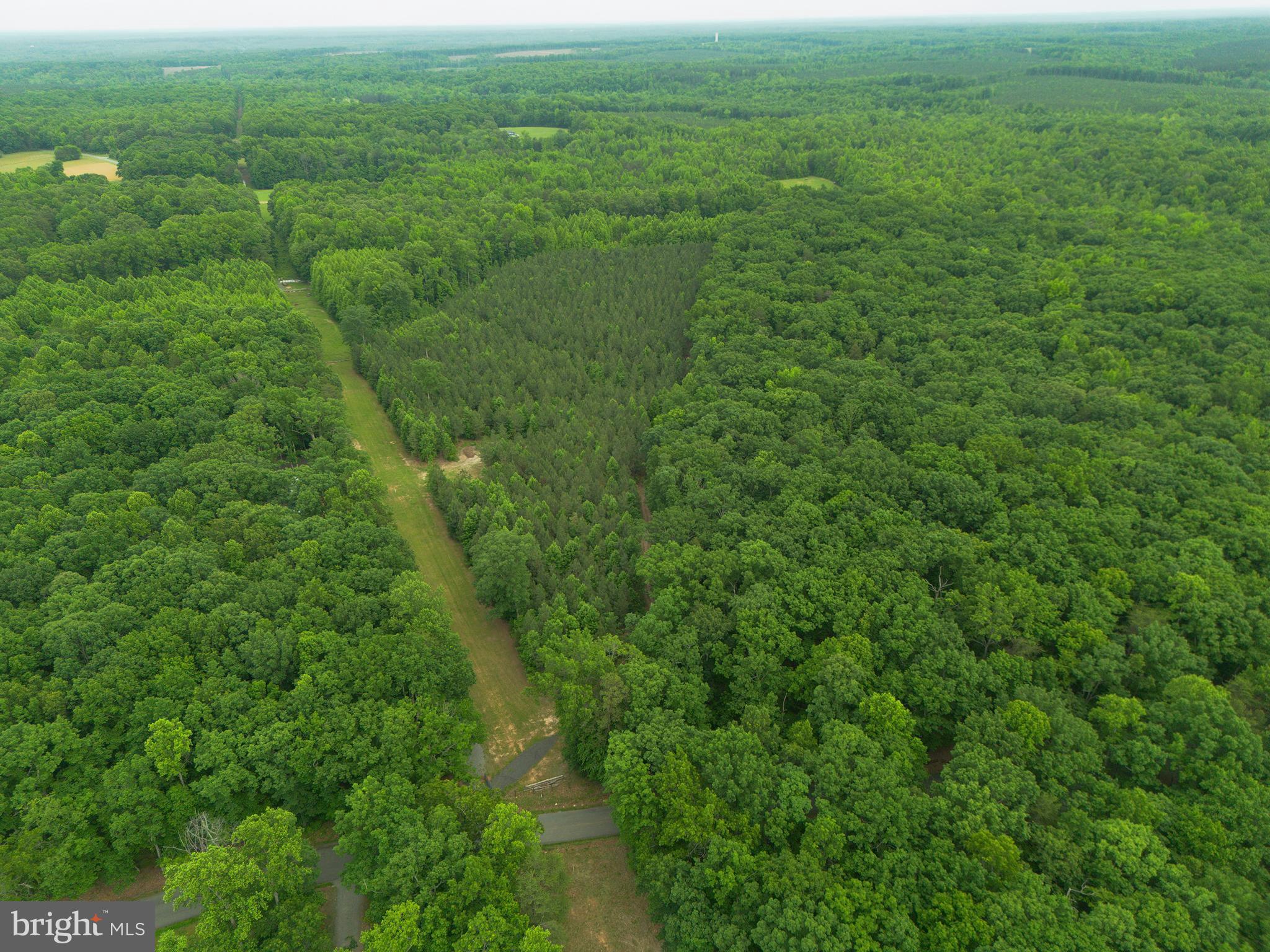 Lot 1 Roundabout Road Louisa, VA 23093 - Photo 15 of 40