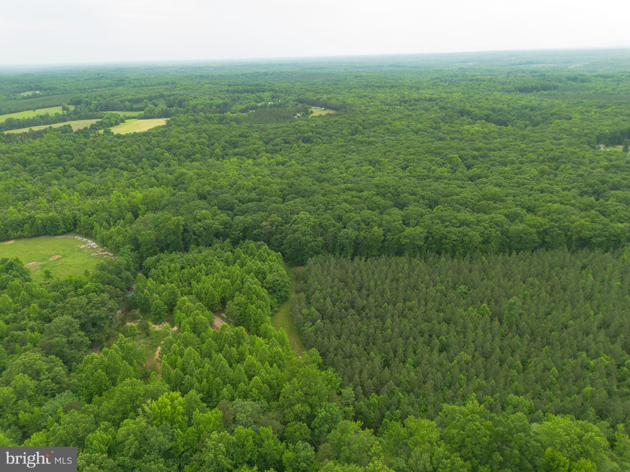 Lot 1 Roundabout Road Louisa, VA 23093 - Photo 17 of 40