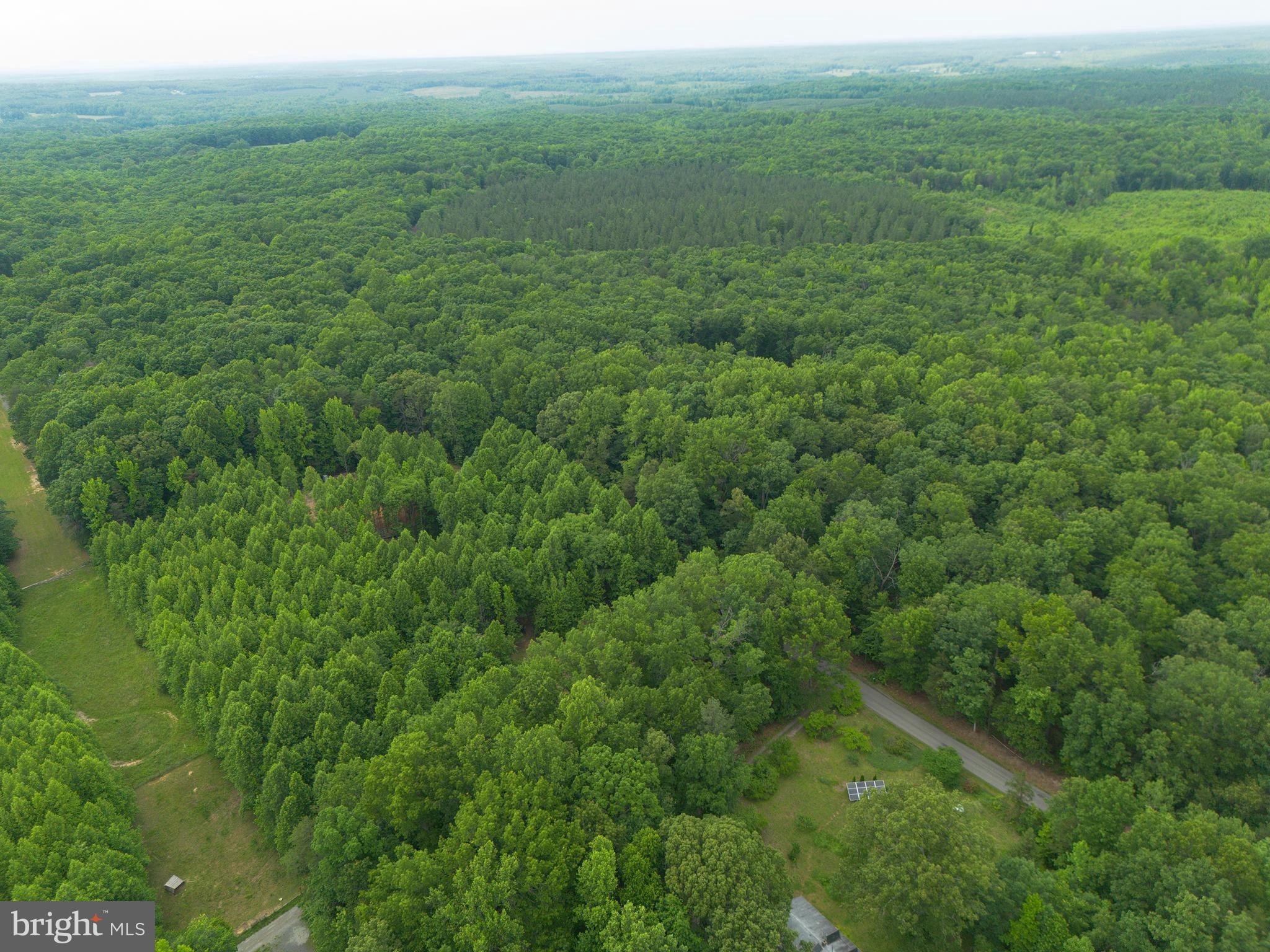 Lot 1 Roundabout Road Louisa, VA 23093 - Photo 18 of 40
