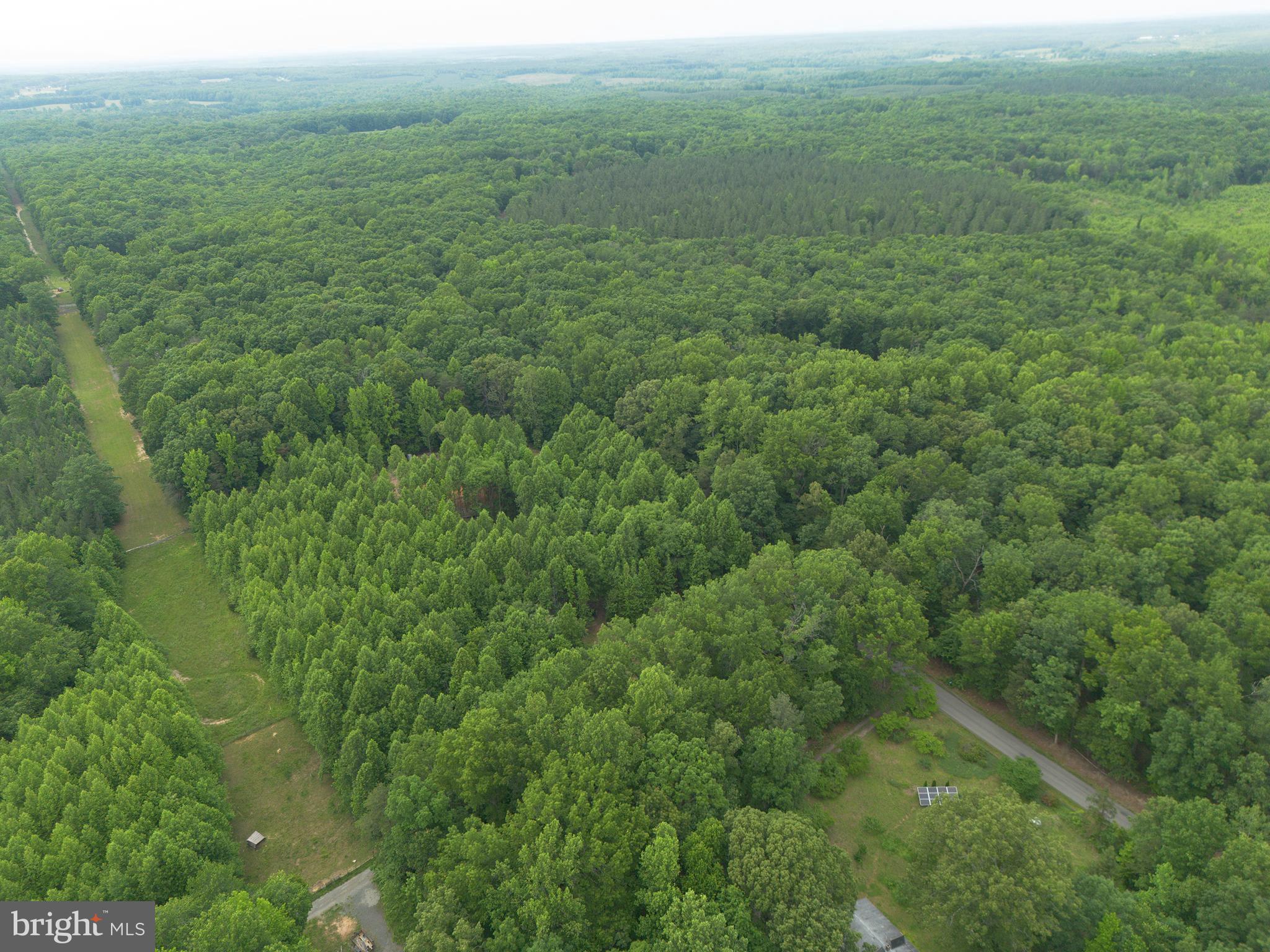 Lot 1 Roundabout Road Louisa, VA 23093 - Photo 19 of 40