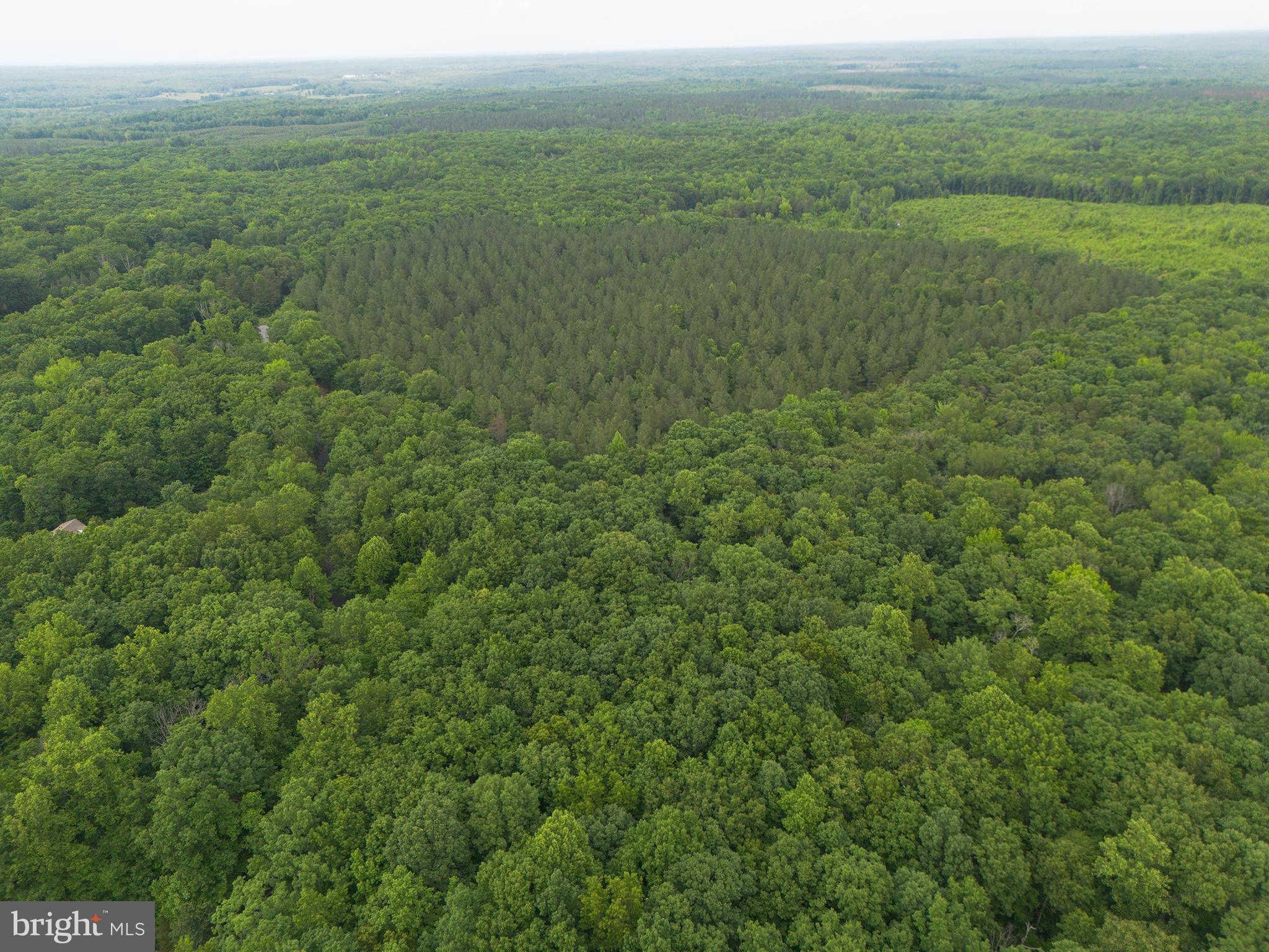 Lot 1 Roundabout Road Louisa, VA 23093 - Photo 21 of 40