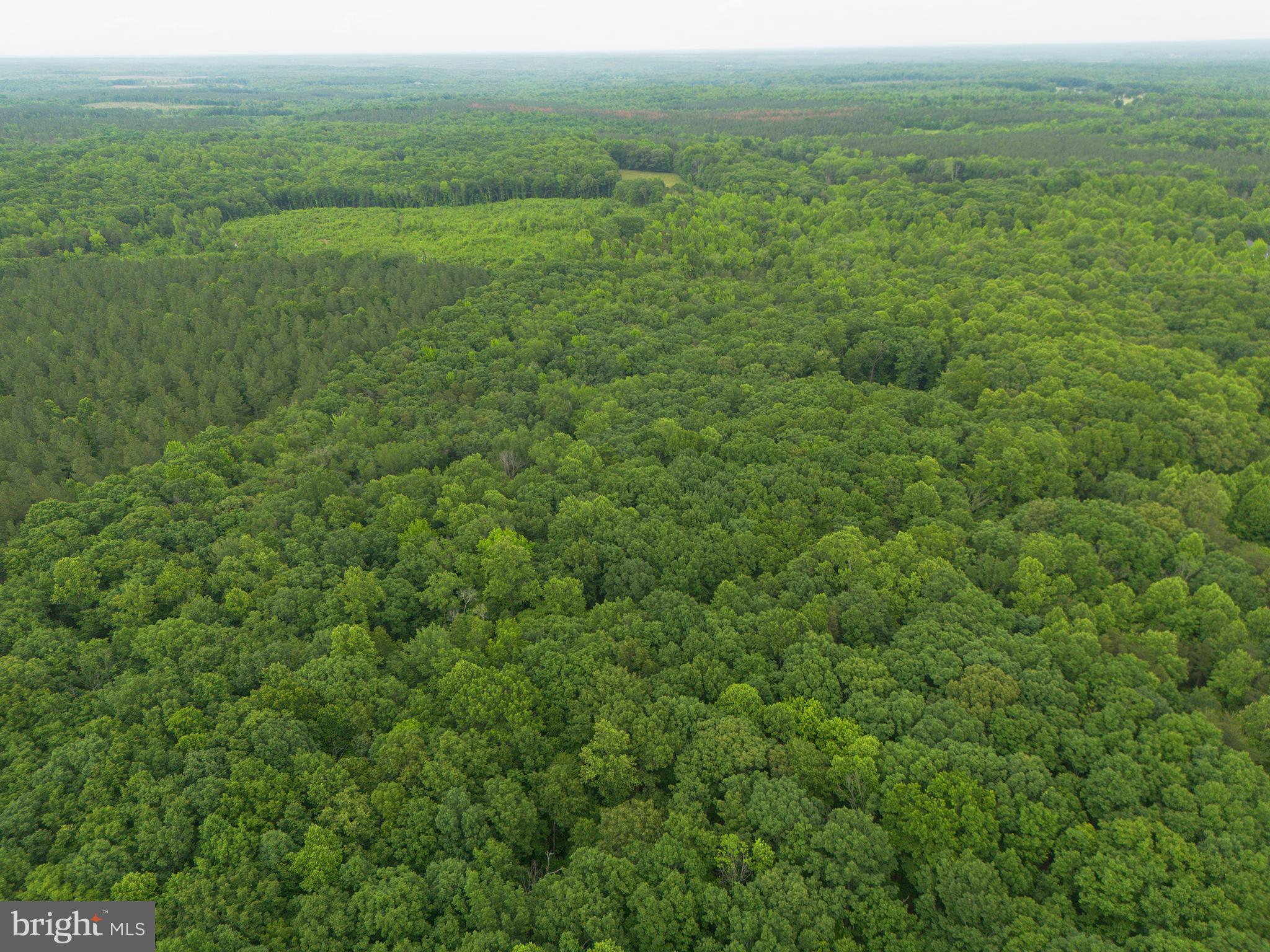 Lot 1 Roundabout Road Louisa, VA 23093 - Photo 22 of 40