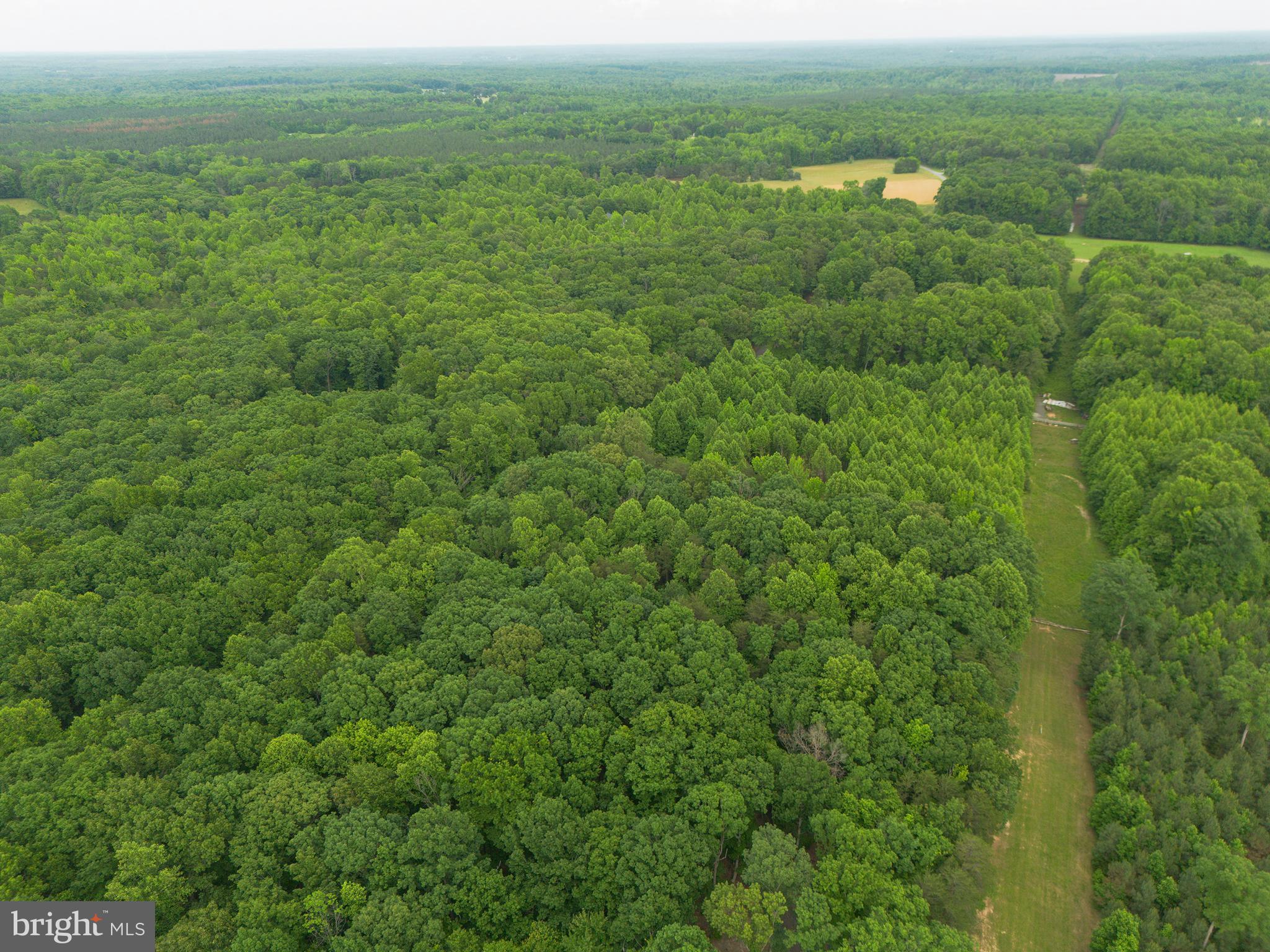 Lot 1 Roundabout Road Louisa, VA 23093 - Photo 23 of 40