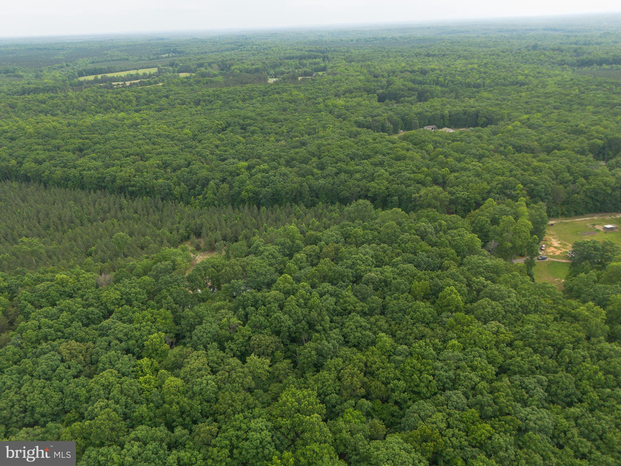 Lot 1 Roundabout Road Louisa, VA 23093 - Photo 24 of 40