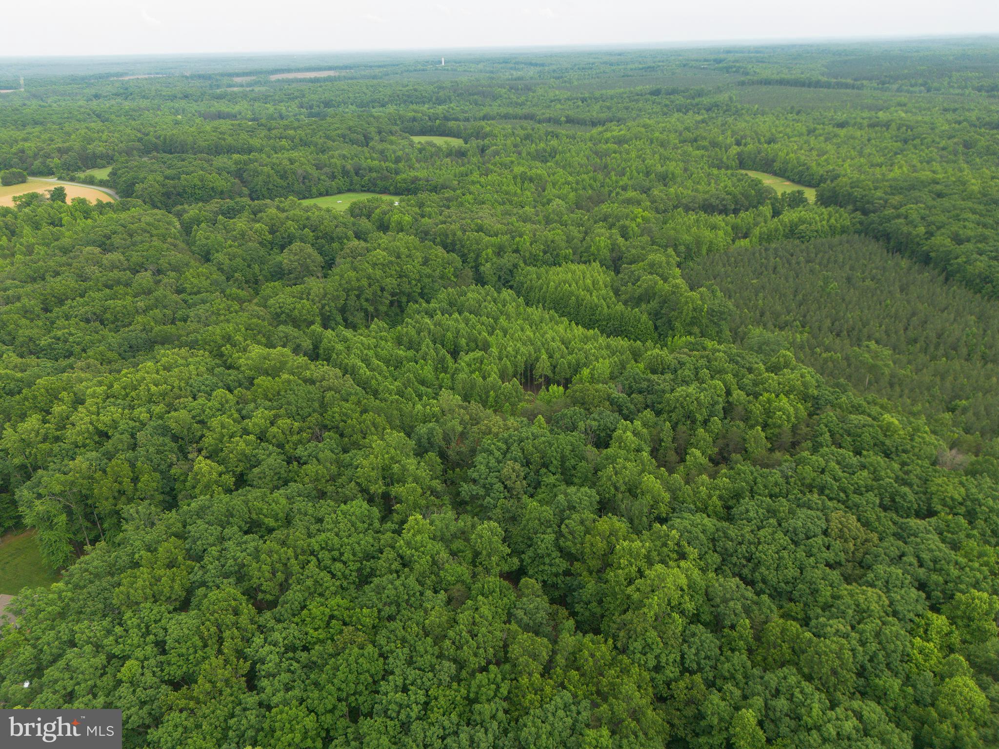 Lot 1 Roundabout Road Louisa, VA 23093 - Photo 25 of 40
