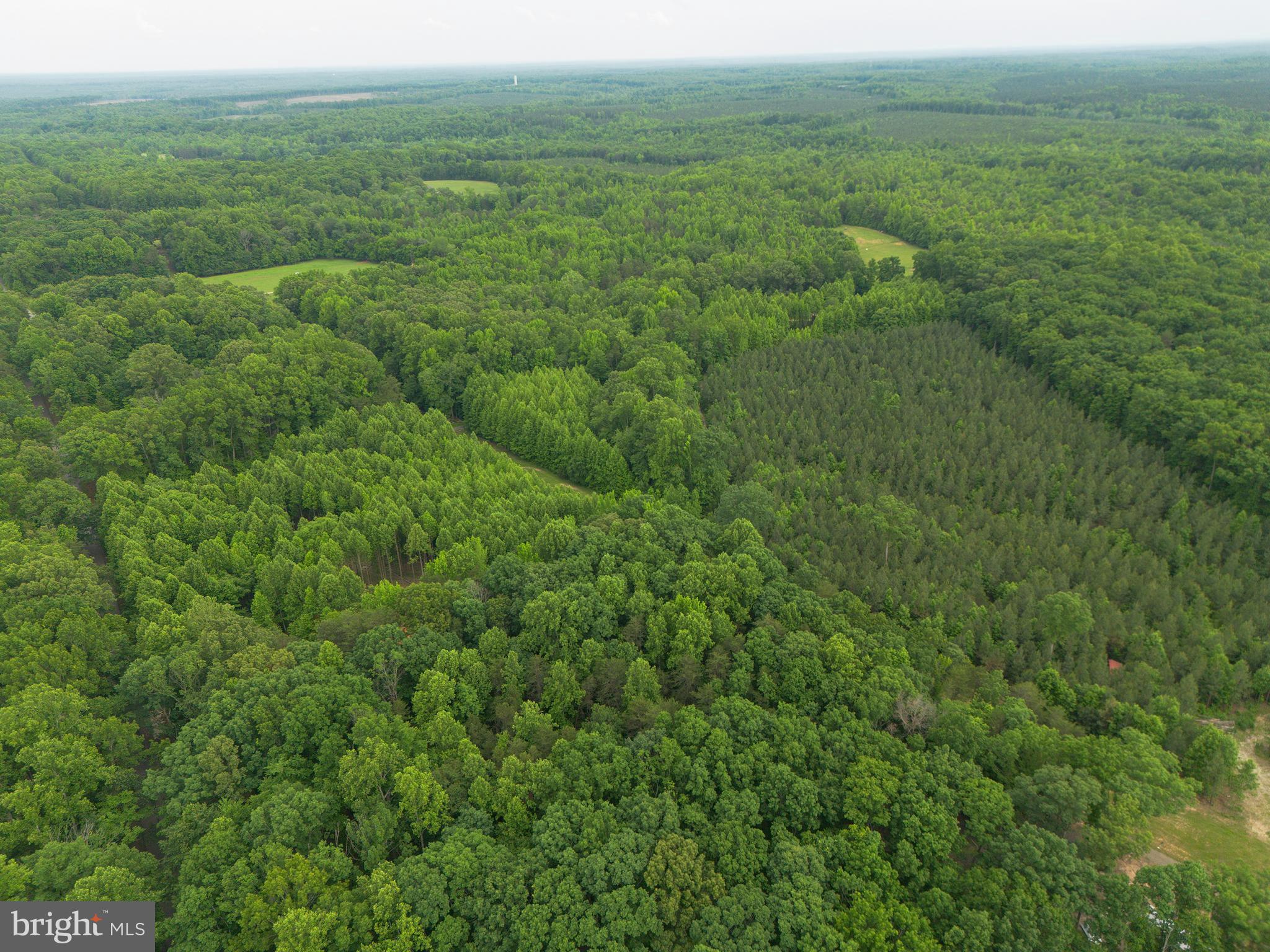 Lot 1 Roundabout Road Louisa, VA 23093 - Photo 27 of 40