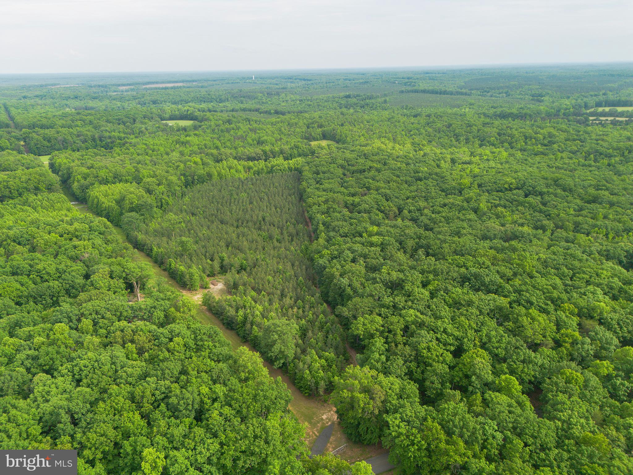 Lot 1 Roundabout Road Louisa, VA 23093 - Photo 28 of 40