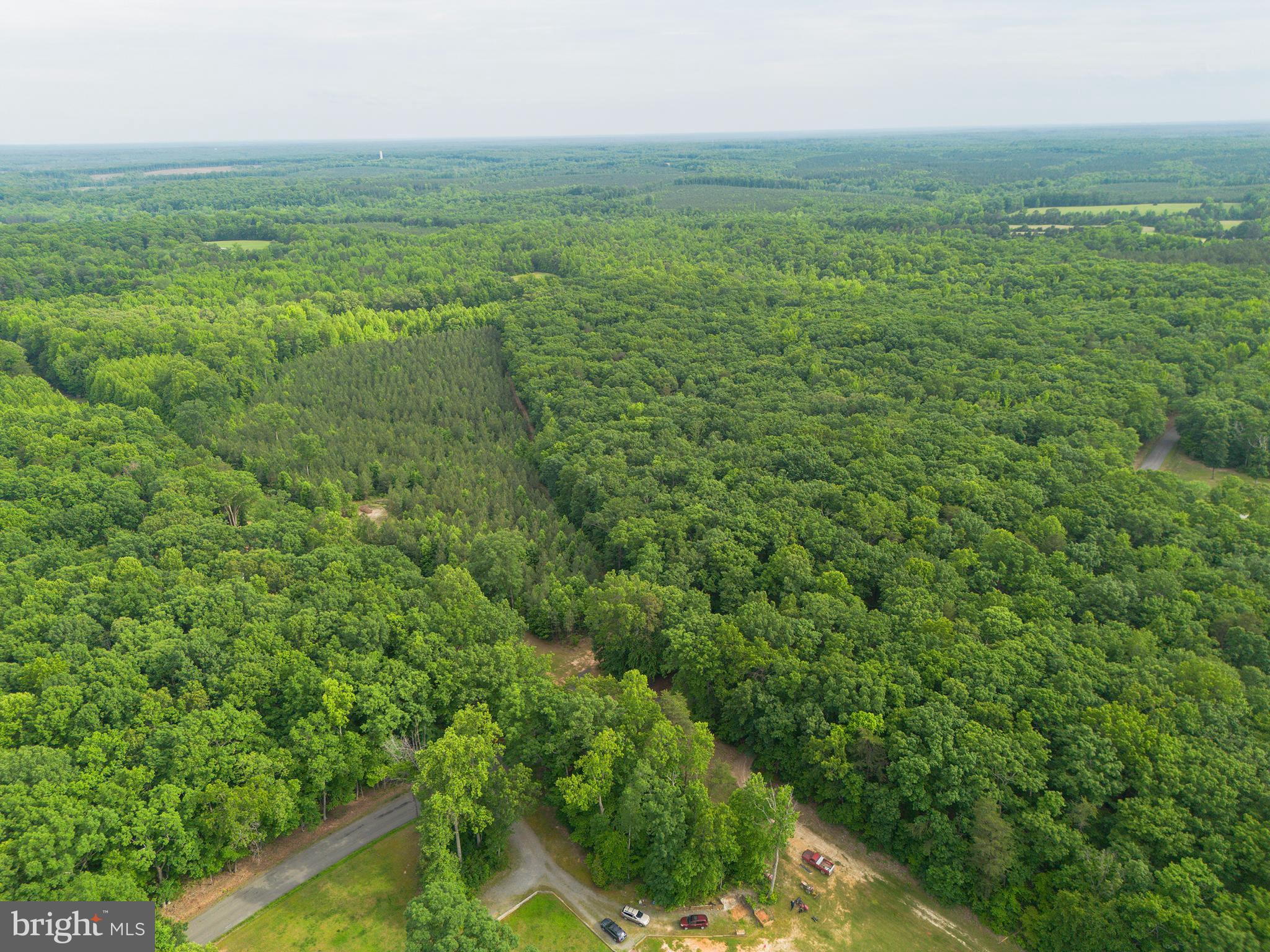 Lot 1 Roundabout Road Louisa, VA 23093 - Photo 29 of 40