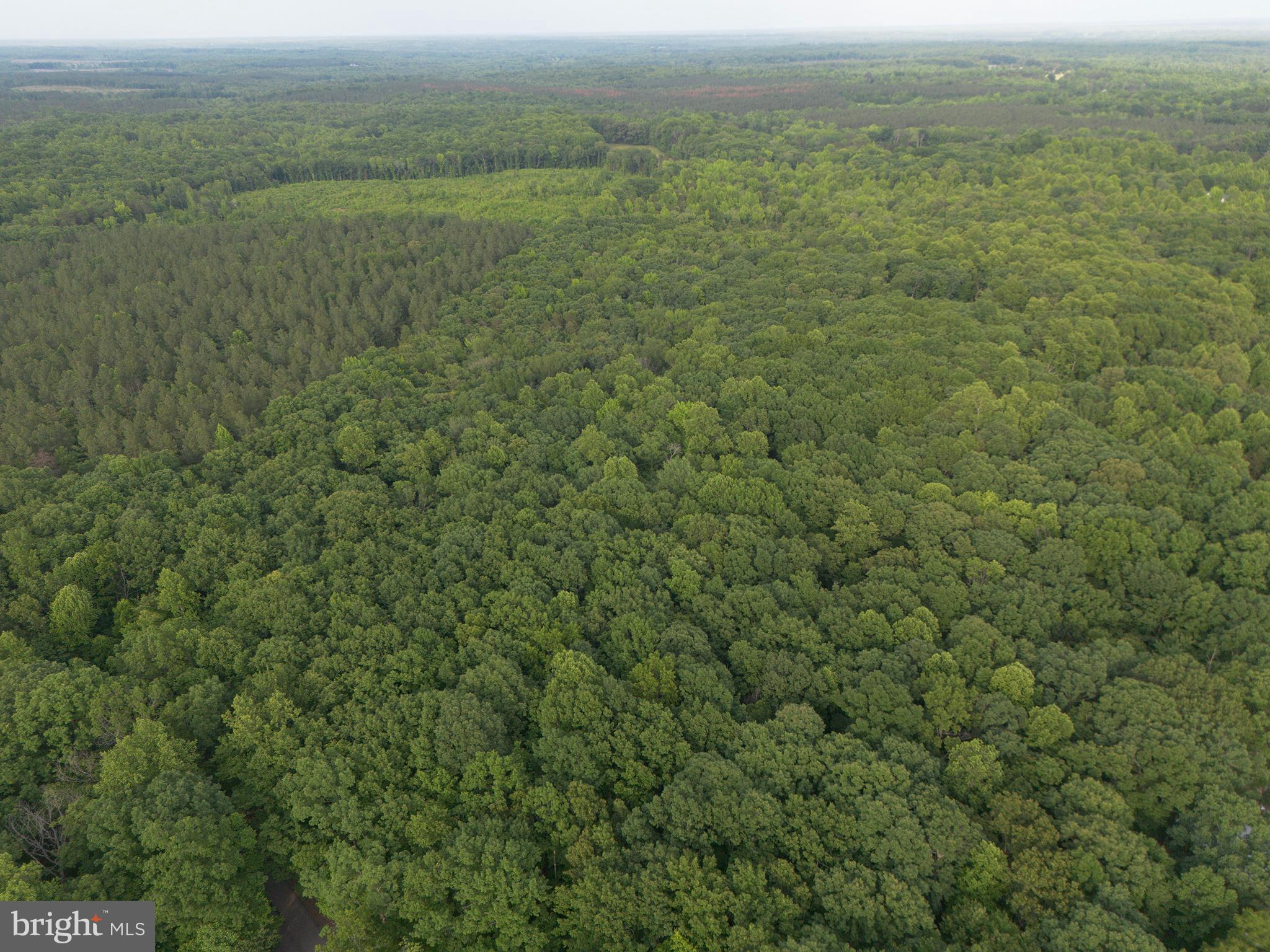 Lot 1 Roundabout Road Louisa, VA 23093 - Photo 3 of 40