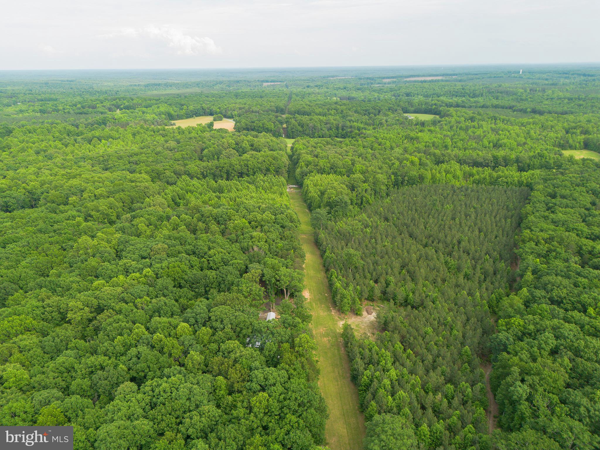 Lot 1 Roundabout Road Louisa, VA 23093 - Photo 31 of 40