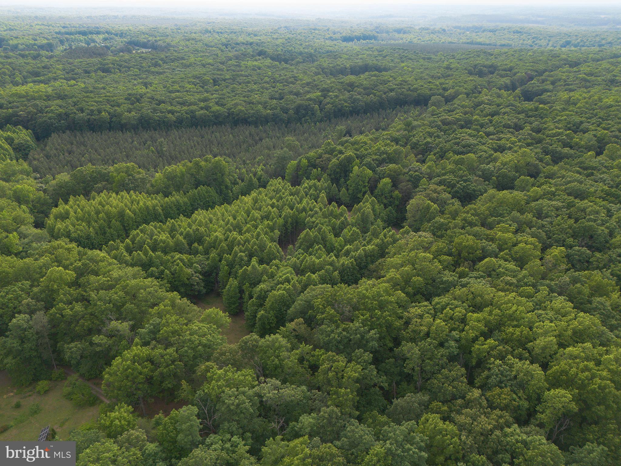 Lot 1 Roundabout Road Louisa, VA 23093 - Photo 33 of 40