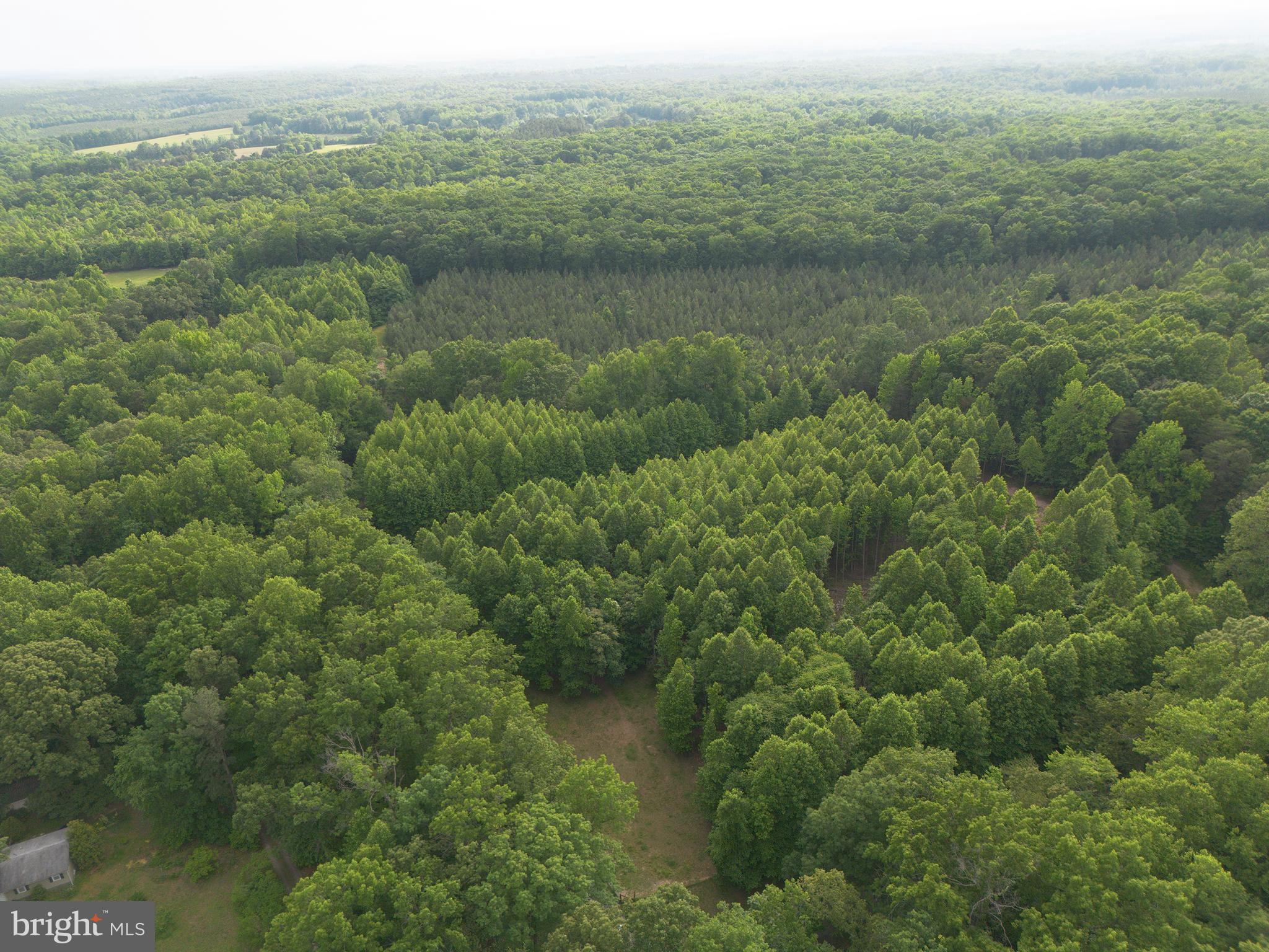 Lot 1 Roundabout Road Louisa, VA 23093 - Photo 34 of 40