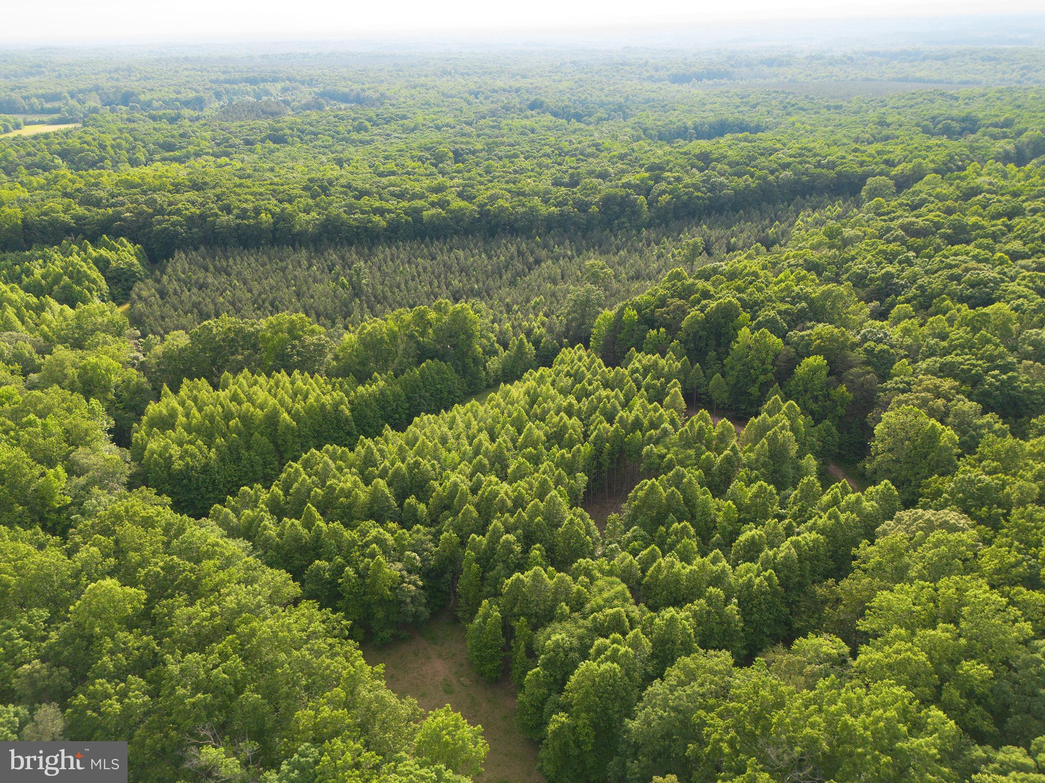 Lot 1 Roundabout Road Louisa, VA 23093 - Photo 35 of 40