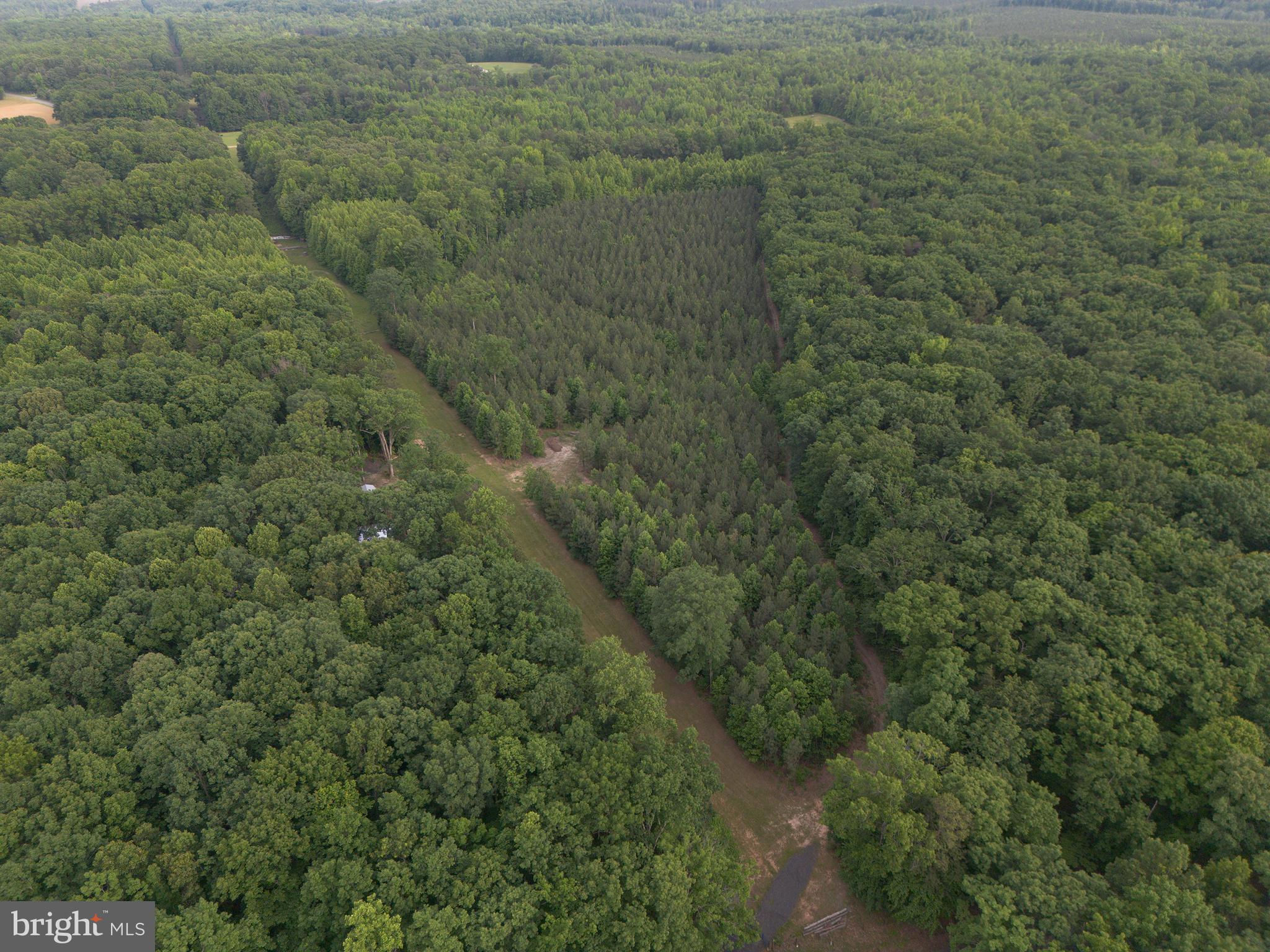 Lot 1 Roundabout Road Louisa, VA 23093 - Photo 38 of 40