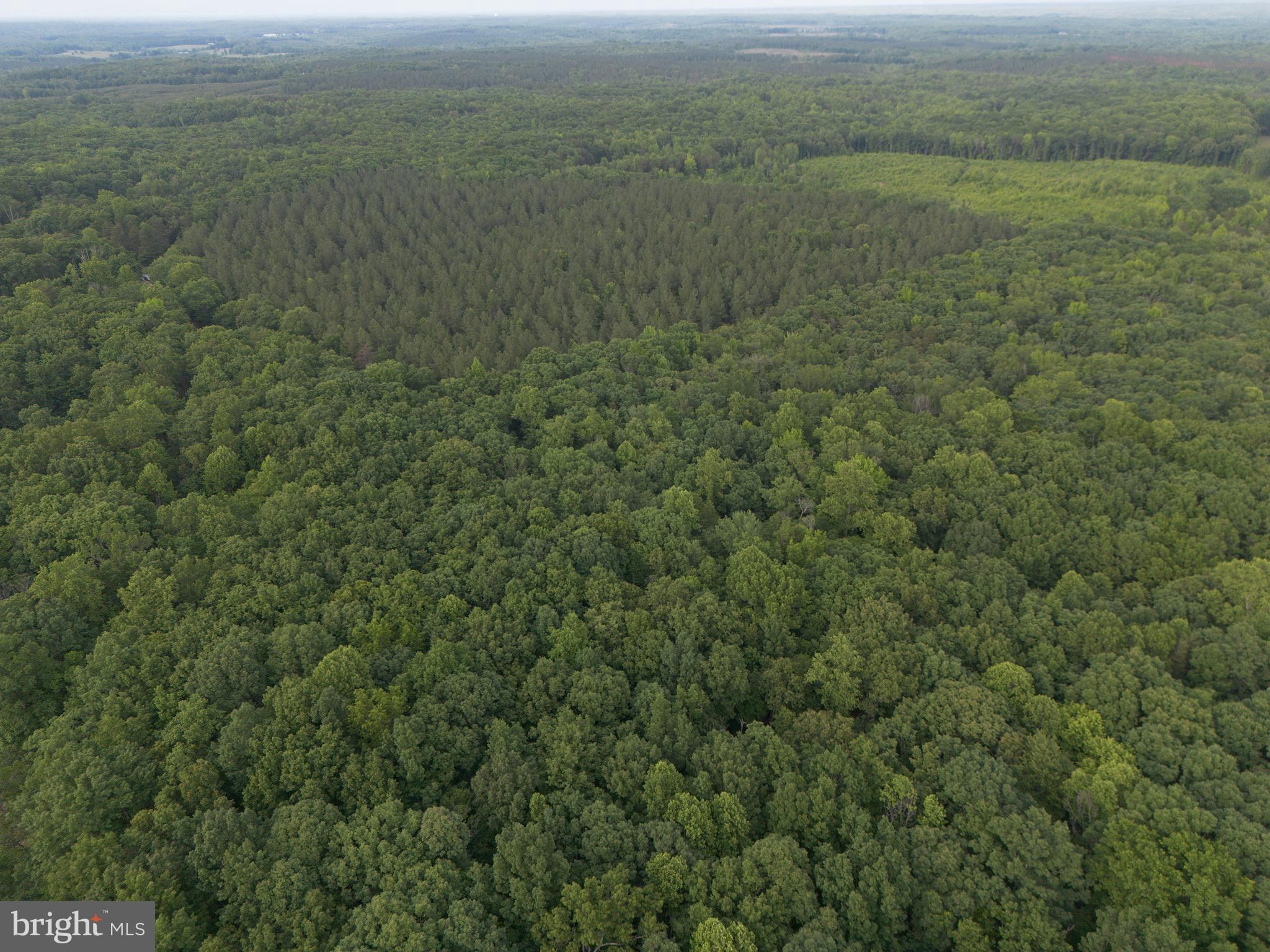 Lot 1 Roundabout Road Louisa, VA 23093 - Photo 39 of 40