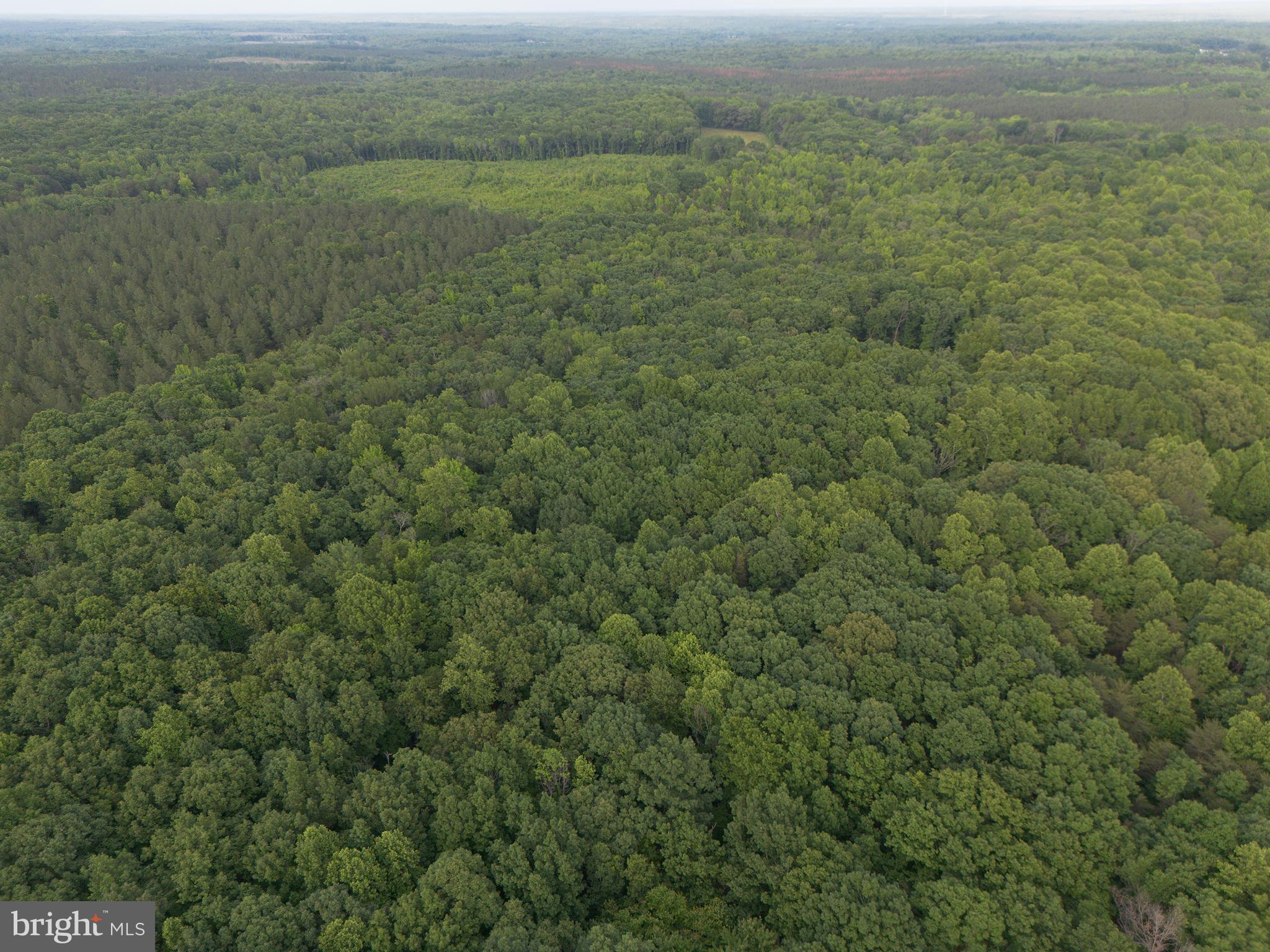 Lot 1 Roundabout Road Louisa, VA 23093 - Photo 40 of 40