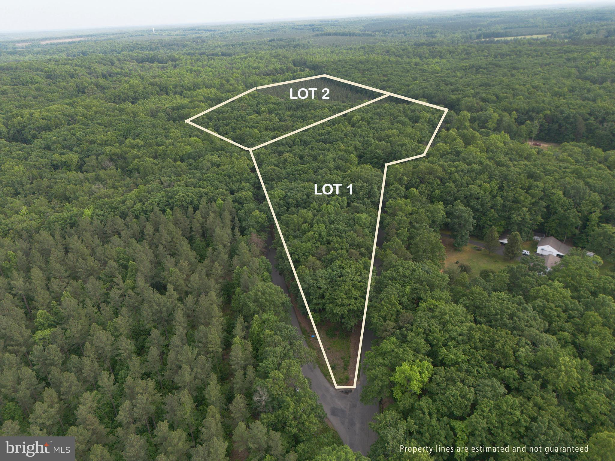 Lot 1 Roundabout Road Louisa, VA 23093 - Photo 10 of 40
