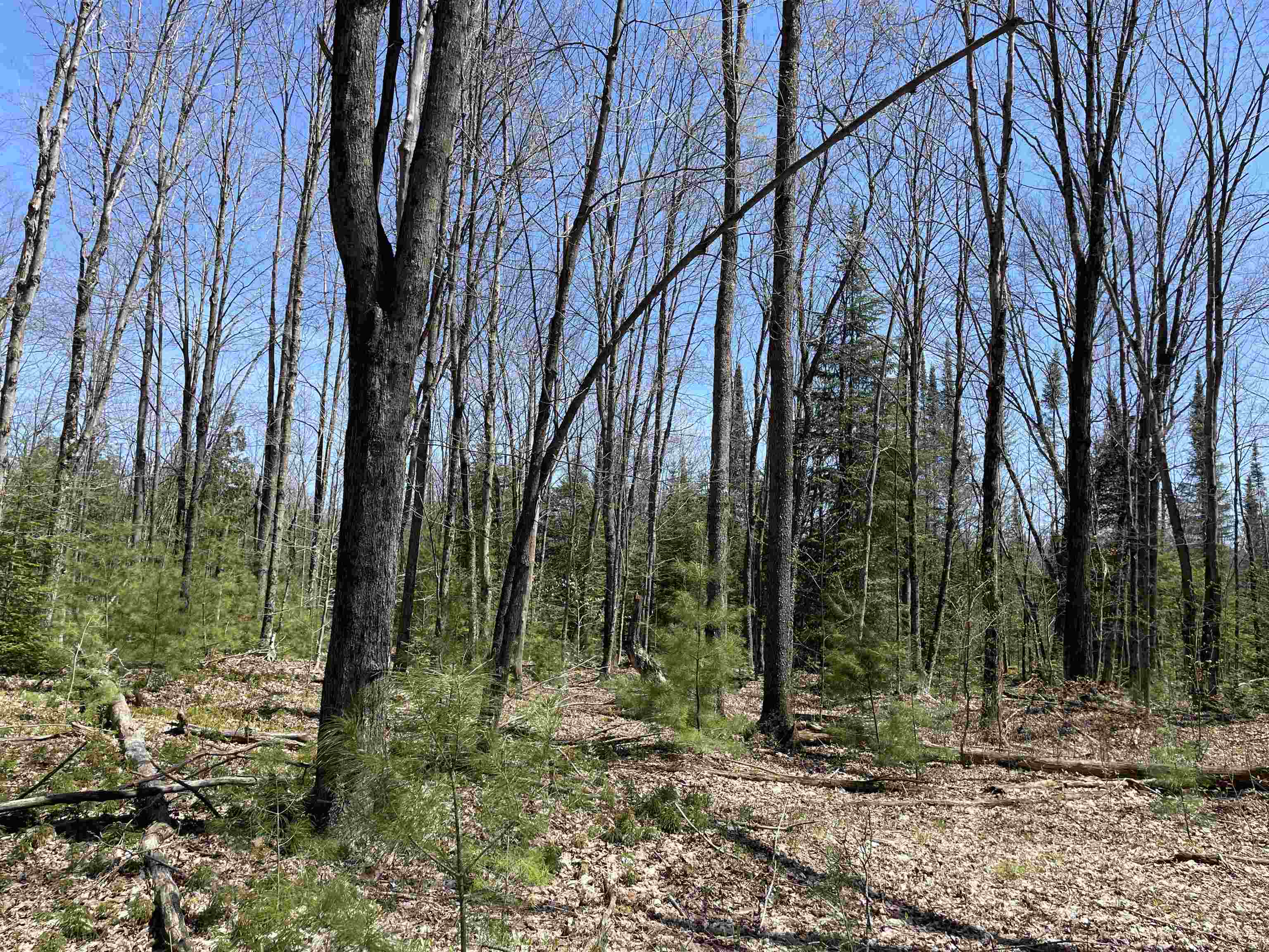 0 East 38 Road Cadillac, MI 49601 - Photo 29 of 39