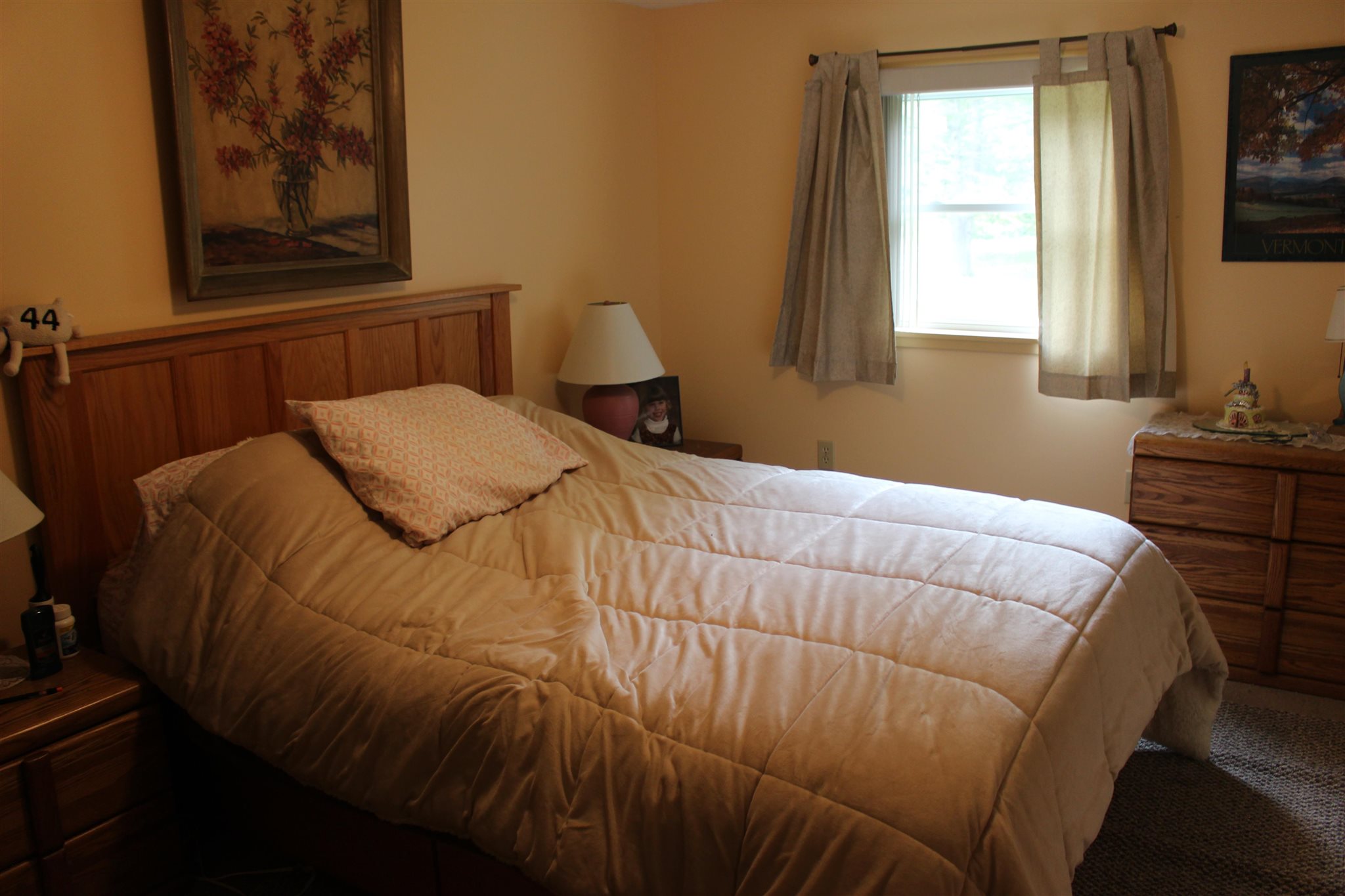 1241 Drake Road Castleton, VT 05732 - Photo 16 of 22