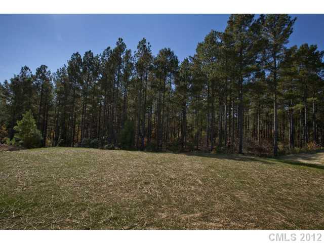 86587 Arrington Road, Unit 101 Lancaster, SC 29720 - Photo 16 of 16 a view of outdoor space with mountain view