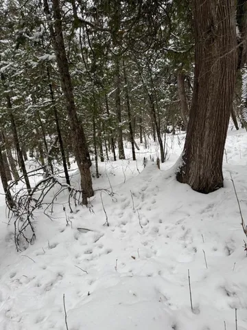 $47,000 | Xx10 Lavaque Road, Duluth, MN 55803