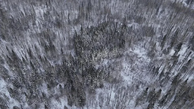 $47,000 | Xx10 Lavaque Road, Duluth, MN 55803