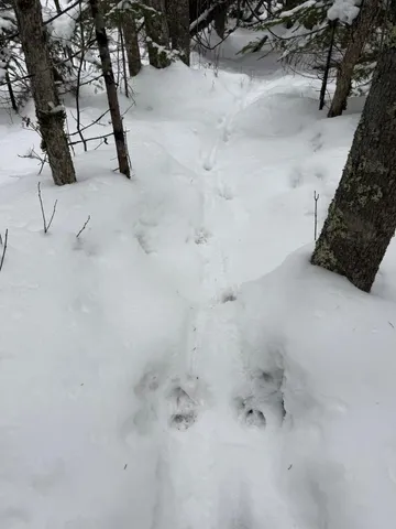 $47,000 | Xx10 Lavaque Road, Duluth, MN 55803