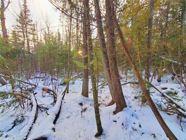 $47,000 | Xx10 Lavaque Road, Duluth, MN 55803