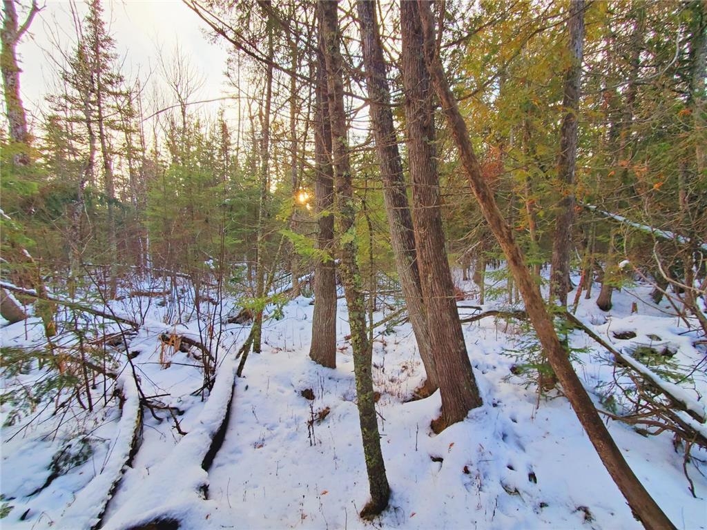 Xx10 Lavaque Road Duluth, MN 55803 - Photo 3 of 17