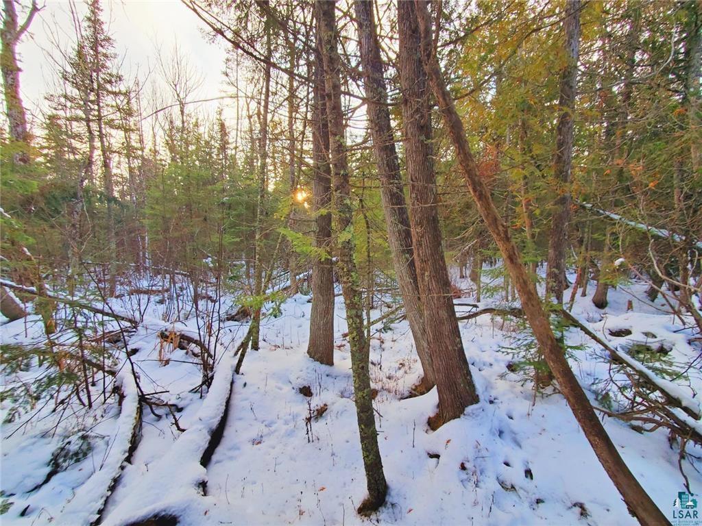 Xx10 Lavaque Road Duluth, MN 55803 - Photo 3 of 17 Gallery Image 3