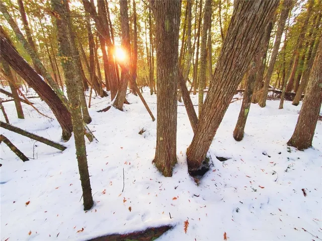 $47,000 | Xx10 Lavaque Road, Duluth, MN 55803