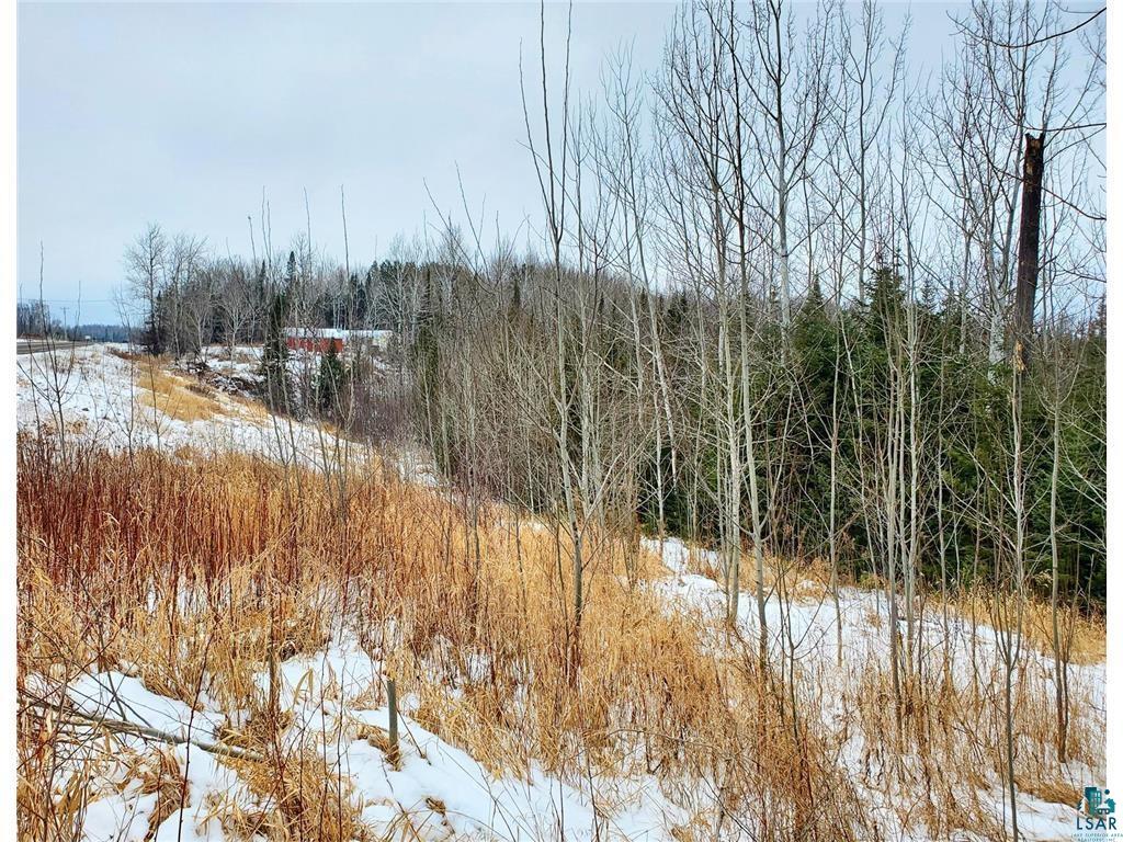 Xx10 Lavaque Road Duluth, MN 55803 - Photo 6 of 17 North road frontage