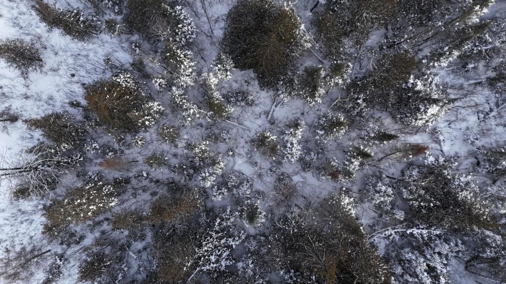 Xx10 Lavaque Road Duluth, MN 55803 - Photo 7 of 17