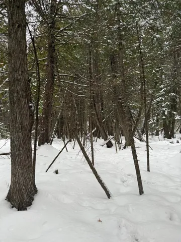 $47,000 | Xx10 Lavaque Road, Duluth, MN 55803