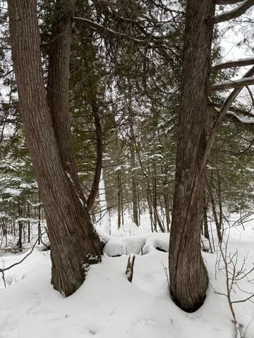 $47,000 | Xx10 Lavaque Road, Duluth, MN 55803