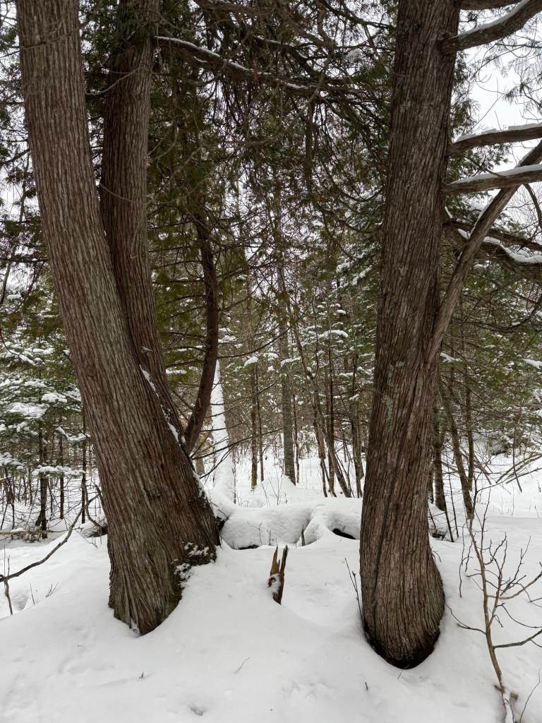 Xx10 Lavaque Road Duluth, MN 55803 - Photo 9 of 17