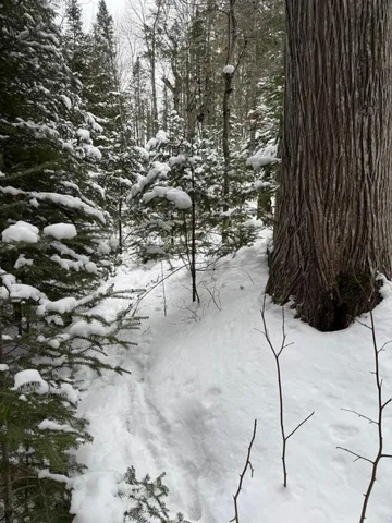 $47,000 | Xx10 Lavaque Road, Duluth, MN 55803