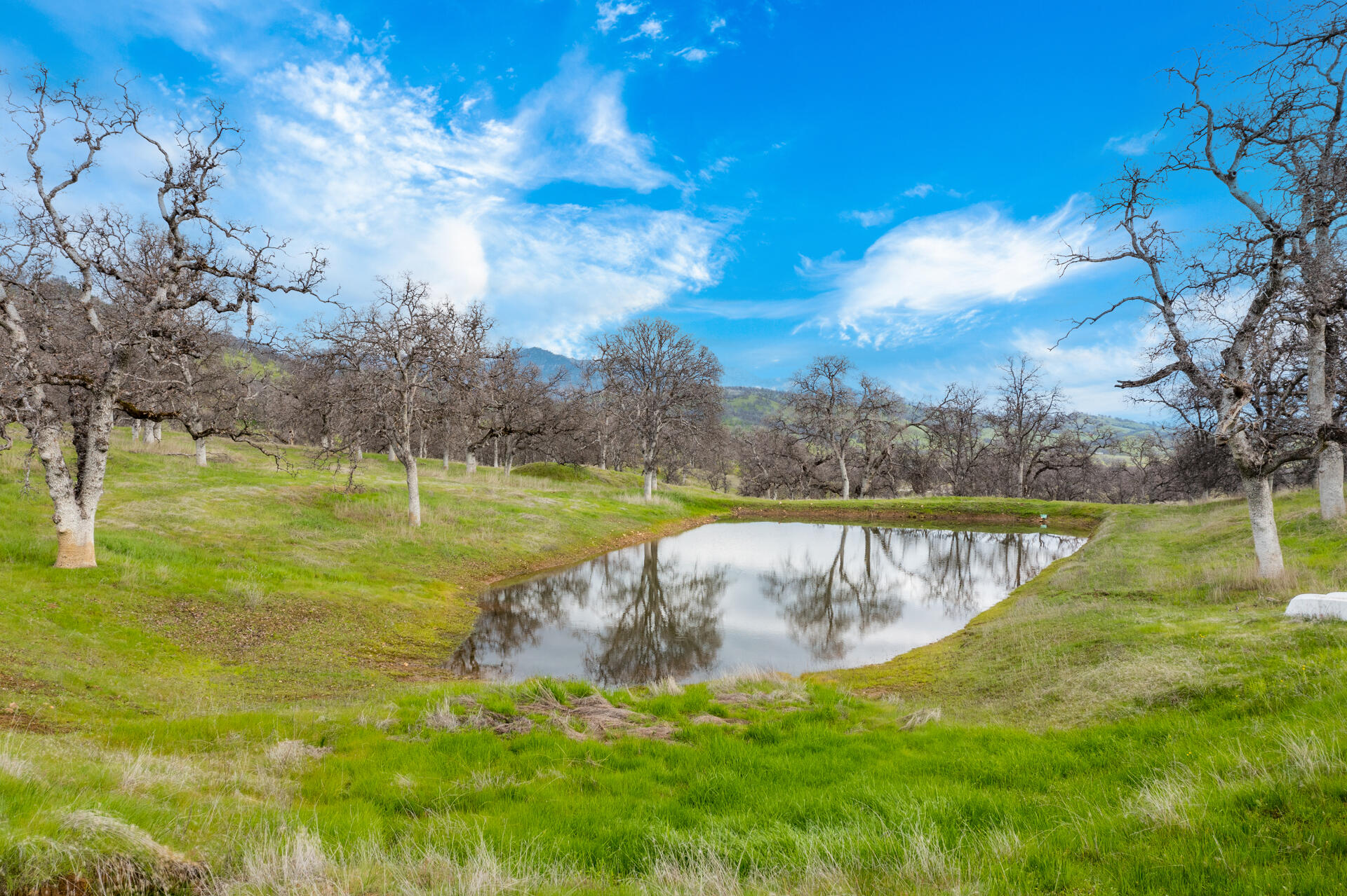 10333 Trinity Alps Vista Road Igo, CA 96047 - Photo 3 of 31 a view of a lake with a big yard
