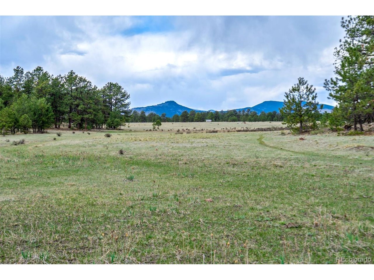 103 Doe Valley Road Guffey, CO 80820 - Photo 5 of 46