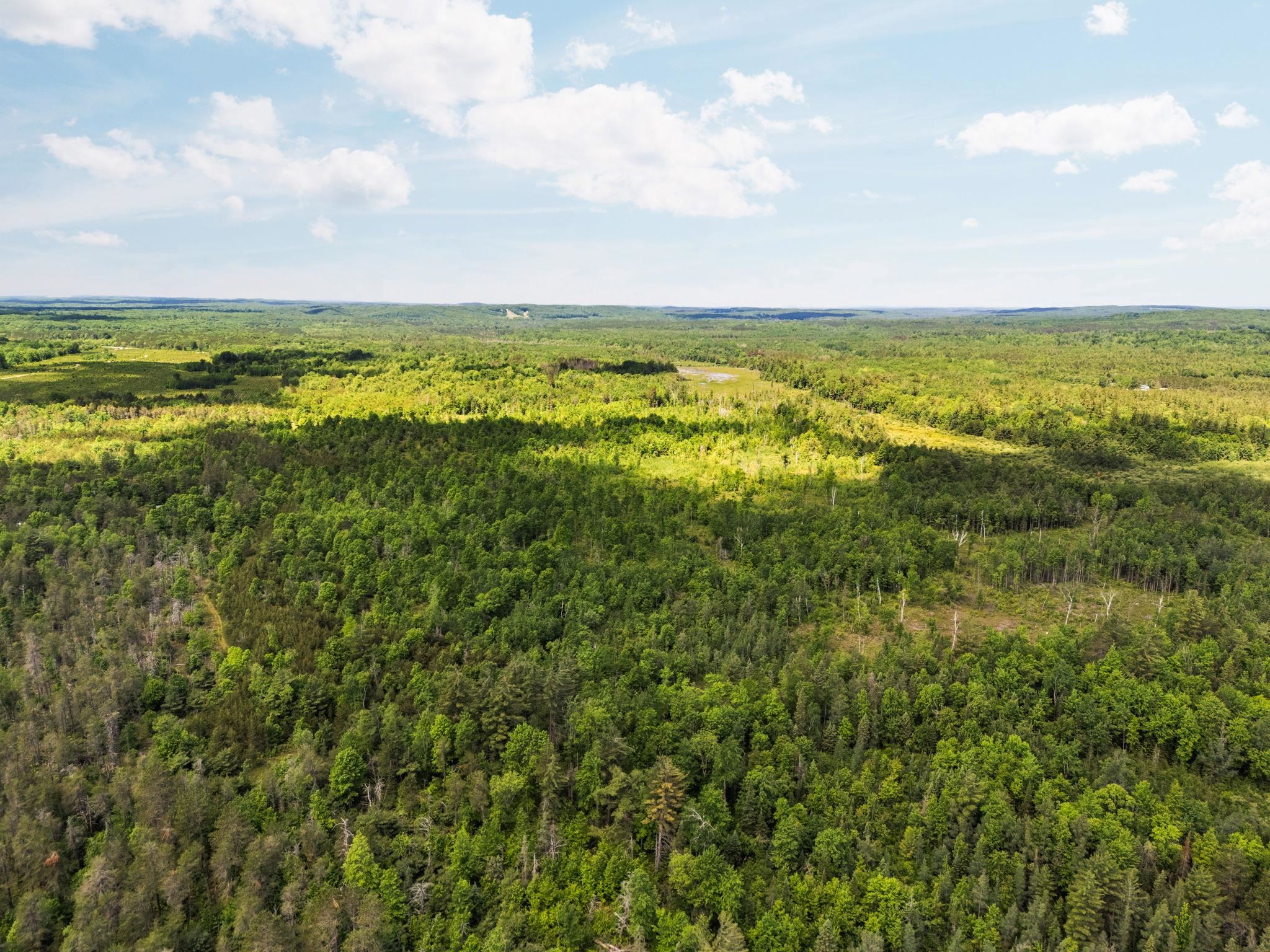 4011 West Forest Road Lake City, MI 49651 - Photo 22 of 36