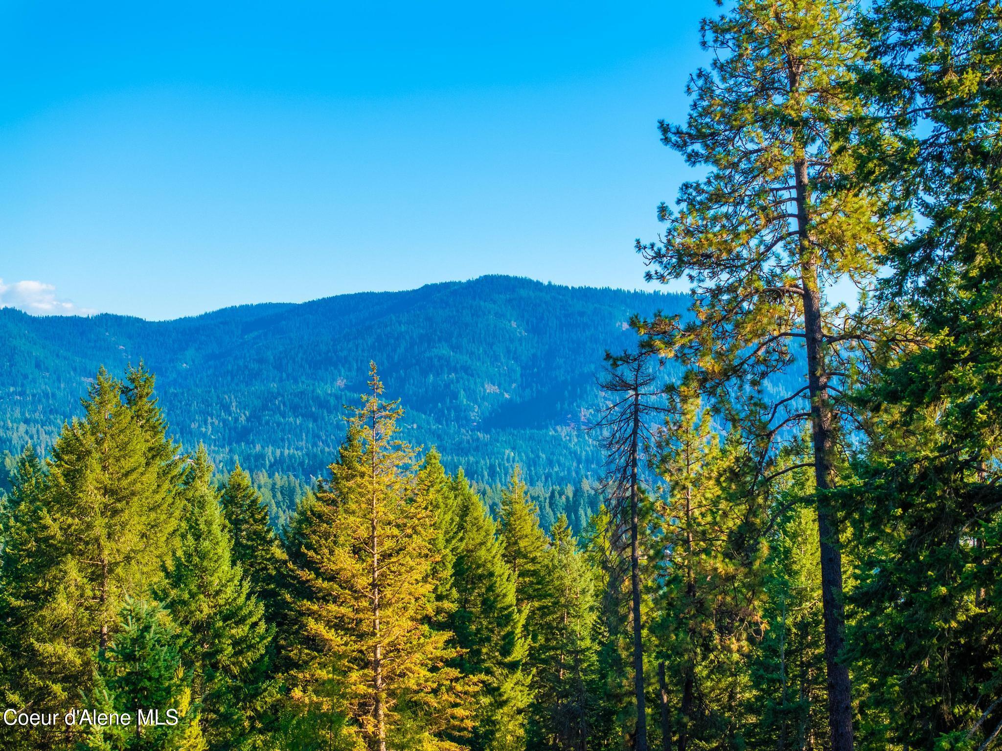 37511 East Hayden Lake Road Hayden, ID 83835 - Photo 49 of 60 Hayden Lake RD Aerials7