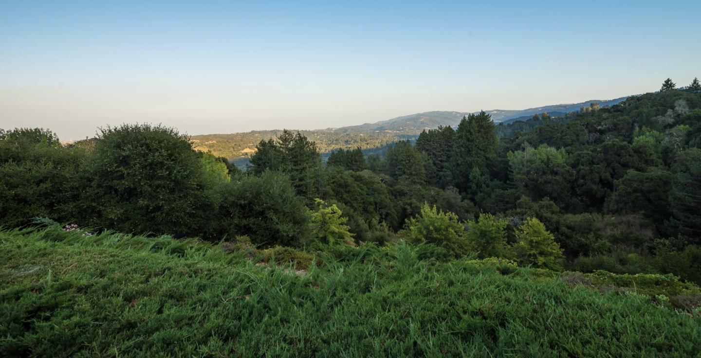 835 La Honda Road Woodside, CA 94062 - Photo 25 of 30 a view of a city with lush green forest