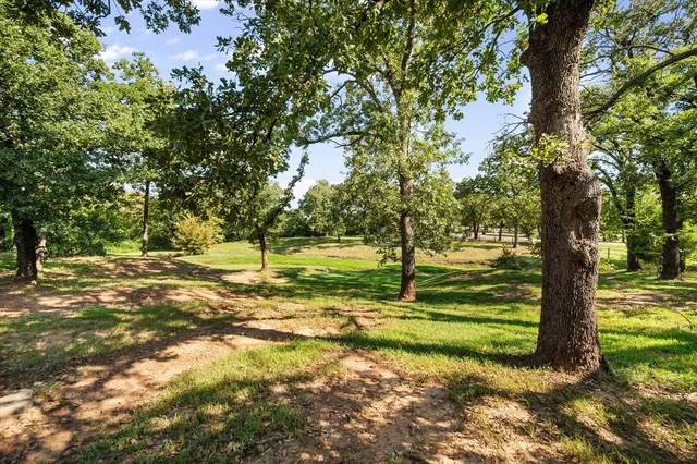a view of a yard with a tree