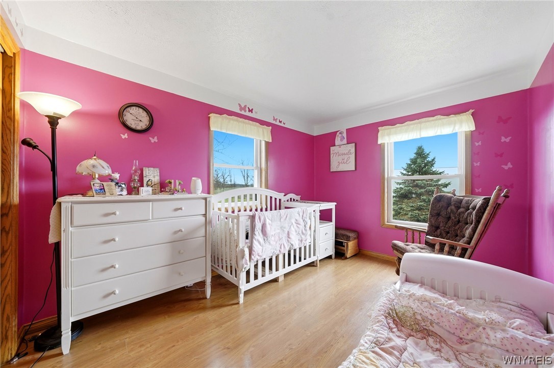 3129 Fruit Avenue Ridgeway, NY 14103 - Photo 16 of 50